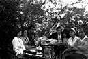 hukukarkadaşlar kopyası